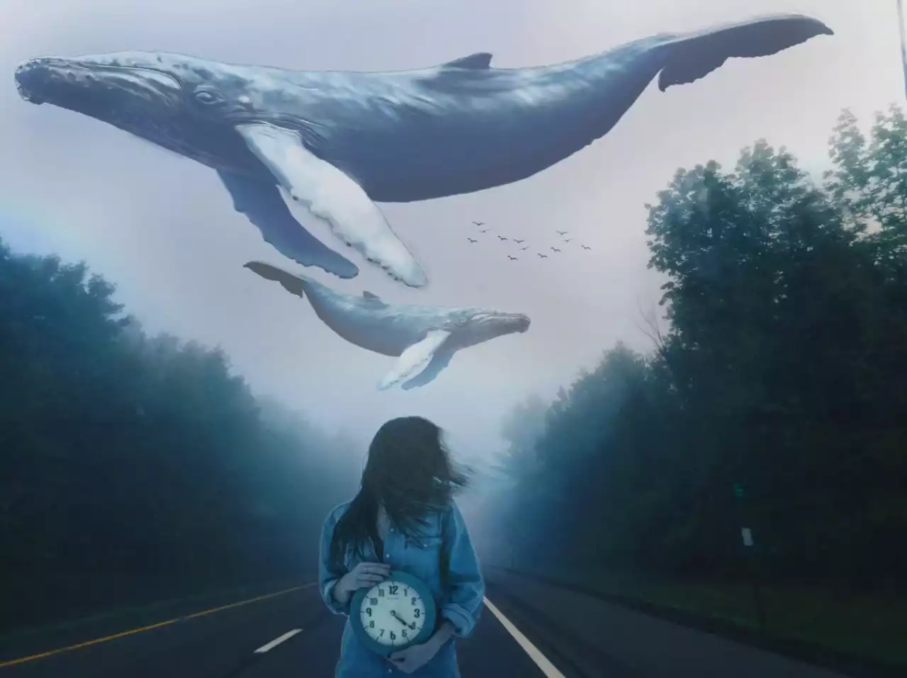 Алматыда оқушыларға деструктивті контенттің қаупі түсіндірілді