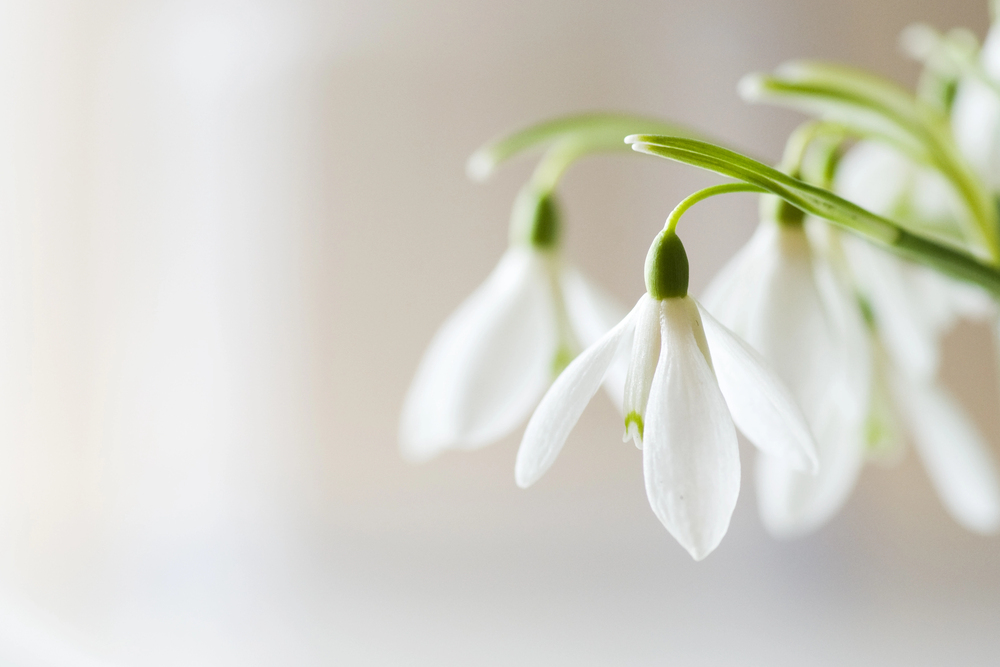 Тұман, қар және көктайғақ: бүгін ауа райы қандай болады?