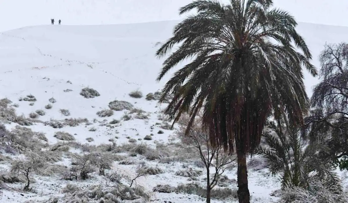 Әлемдегі ең үлкен шөл Сахарада қар жауды