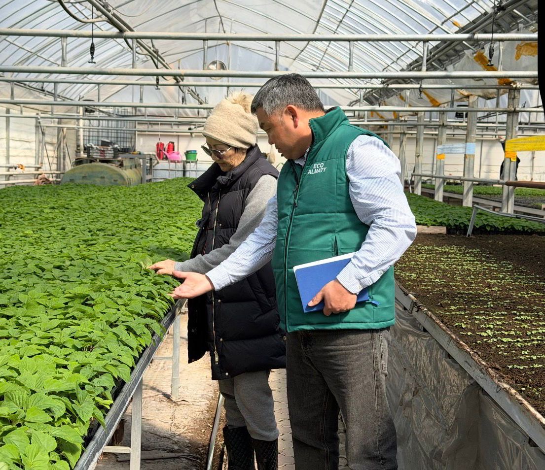 Алматыда 380 мың шаршы метрден астам аумаққа гүл егіледі