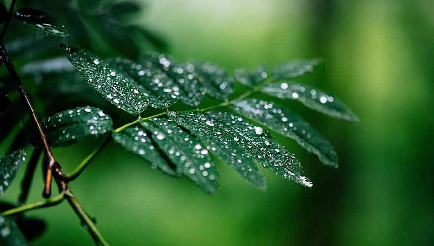 Жексенбіде еліміздің ірі қалаларында ауа райы қандай?