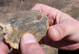 Қазына іздеген қазақтар