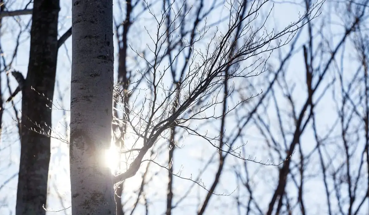 Жаңбыр, найзағай: бүгін еліміздің басты қалаларында ауа райы қандай?