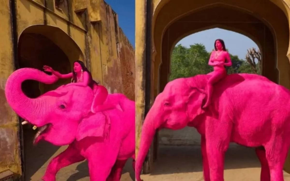 Ресейлік блогер фотосессия үшін пілді қызғылт түске бояған: Жануар артынша өліп қалды