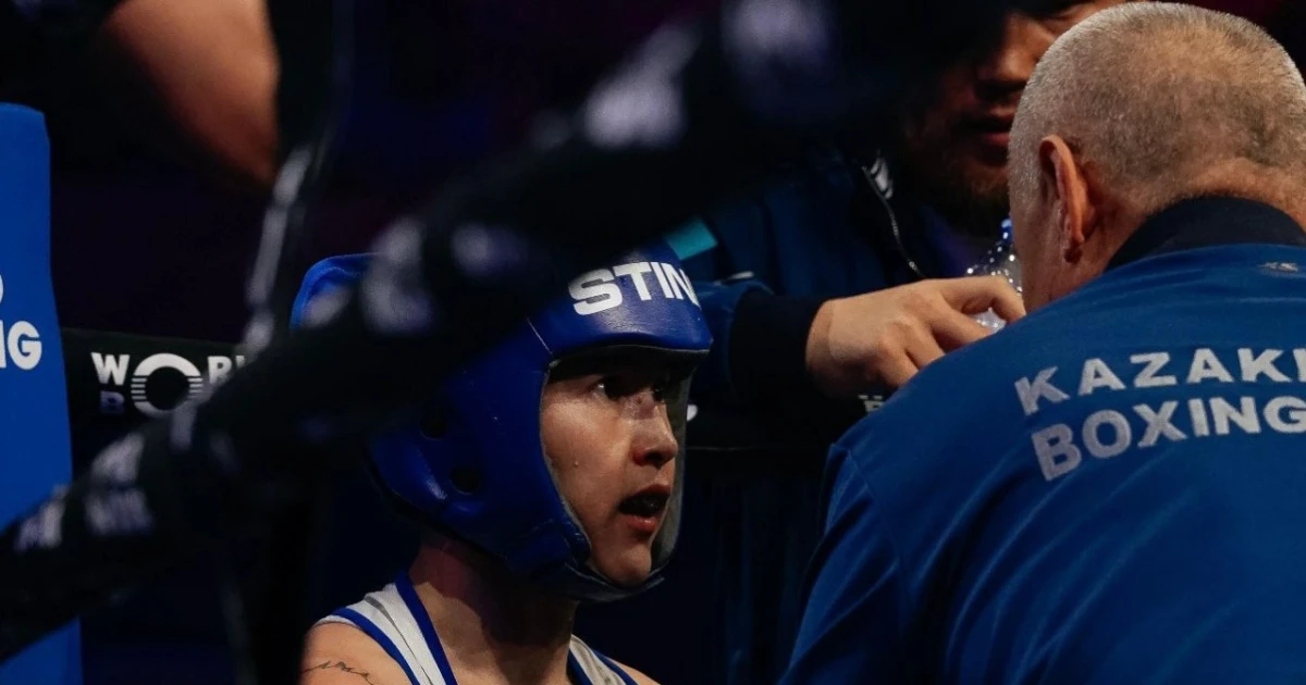 Бокстан Бразилиядағы әлем кубогына шолу