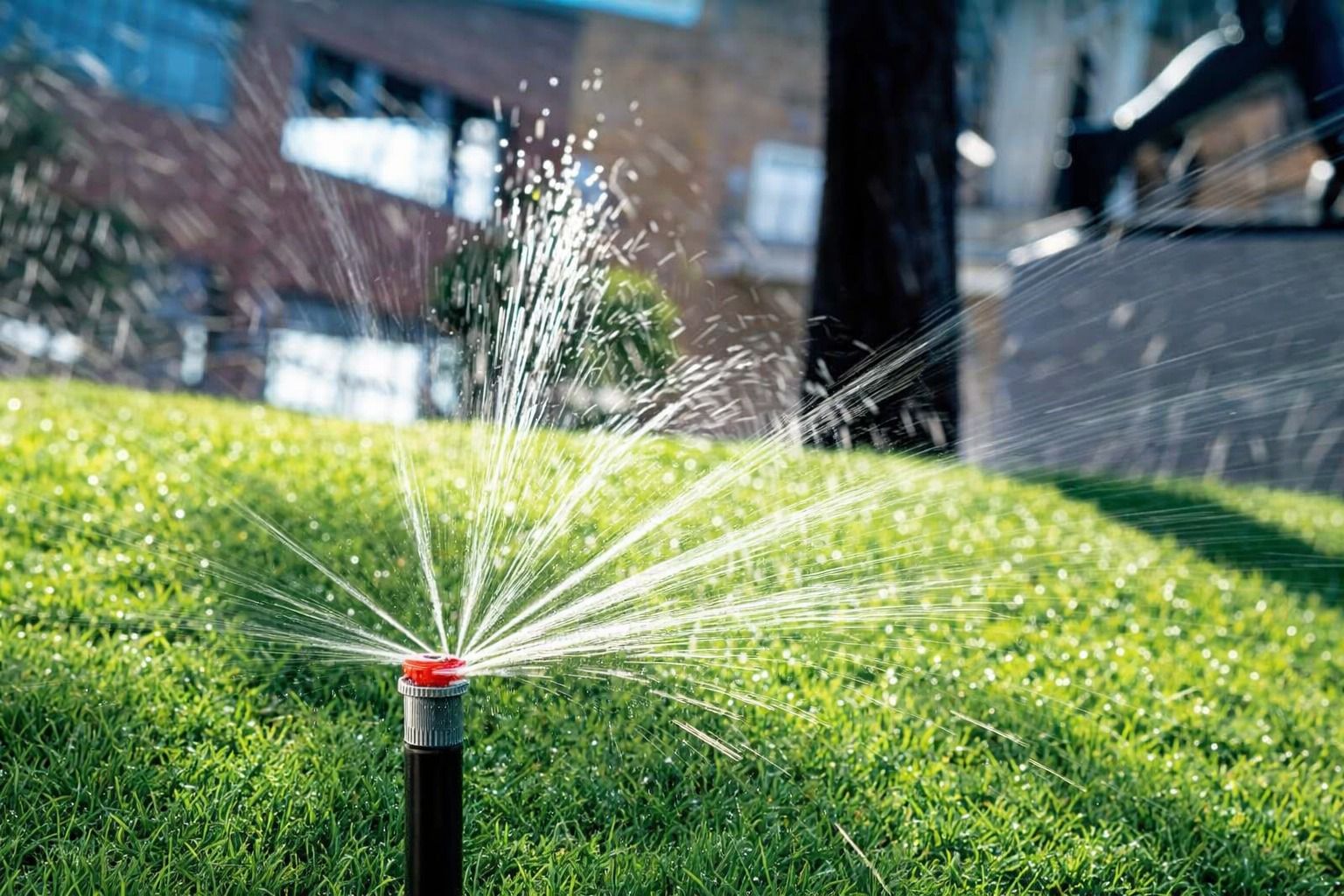 Медеу ауданы автосуару жүйесі дамытуды қолға алды