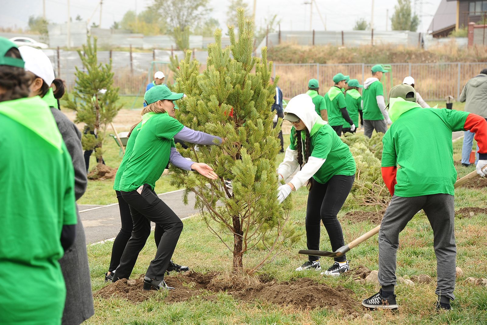 Алматылық түлектер республикалық ағаш отырғызу акциясына қосылды
