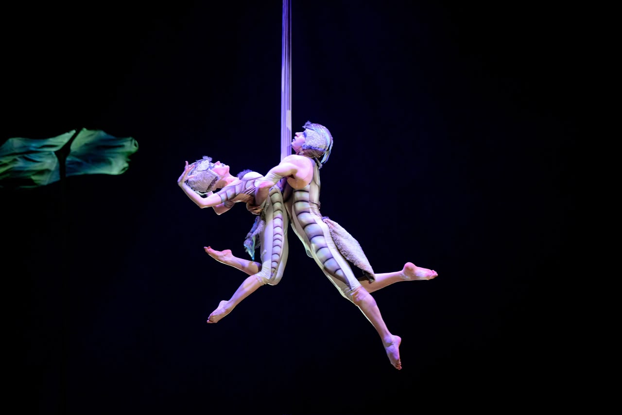 Сахна сыртындағы құпия мен премьерадағы аншлаг: Cirque du Soleil-дің OVO шоуы Алматыдағы гастролін қалай бастады?