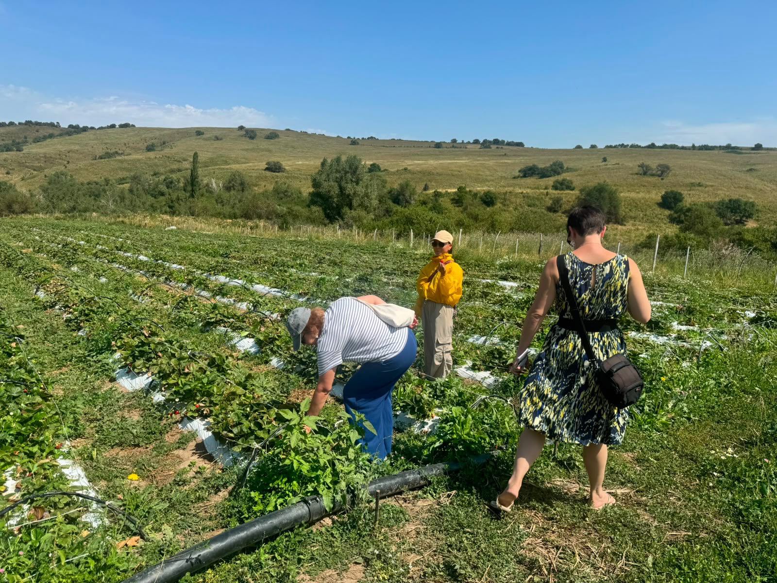 Food and Travel Алматының гастрономиялық әлеуетін зерттеп жатыр