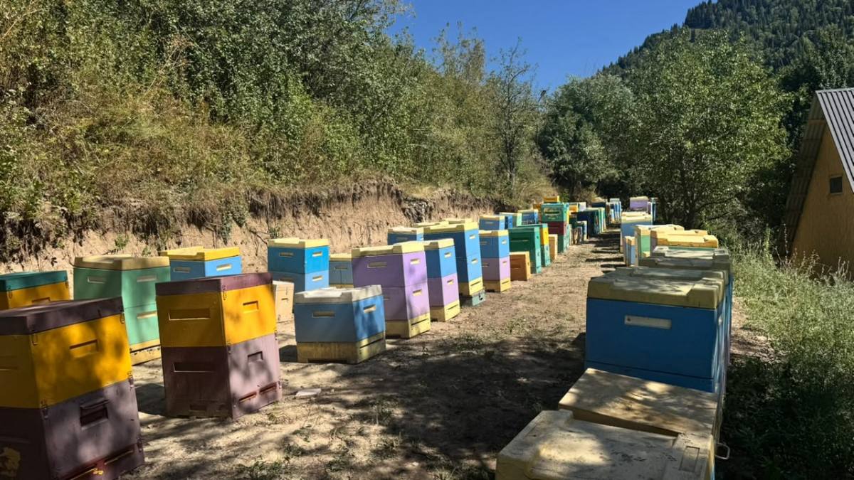 Текелі омарта өнімдерін жаңа деңгейге шығармақ