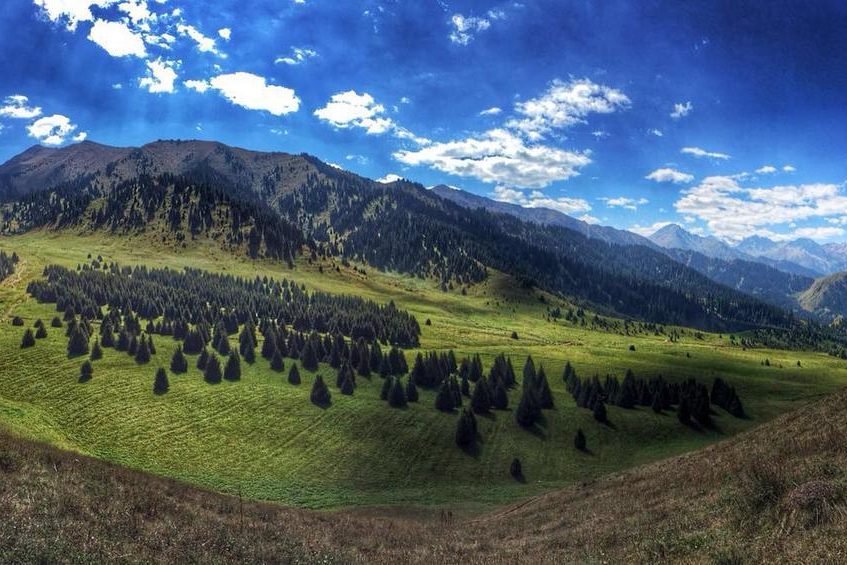 Almaty Super Ski жобасы: Көкжайлаудың мүмкіндігі мен пайдасы