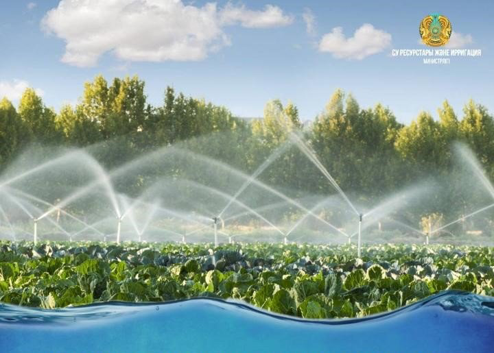 Қазақстанда су үнемделетін алқаптар көлемі үш есеге жуық өсті