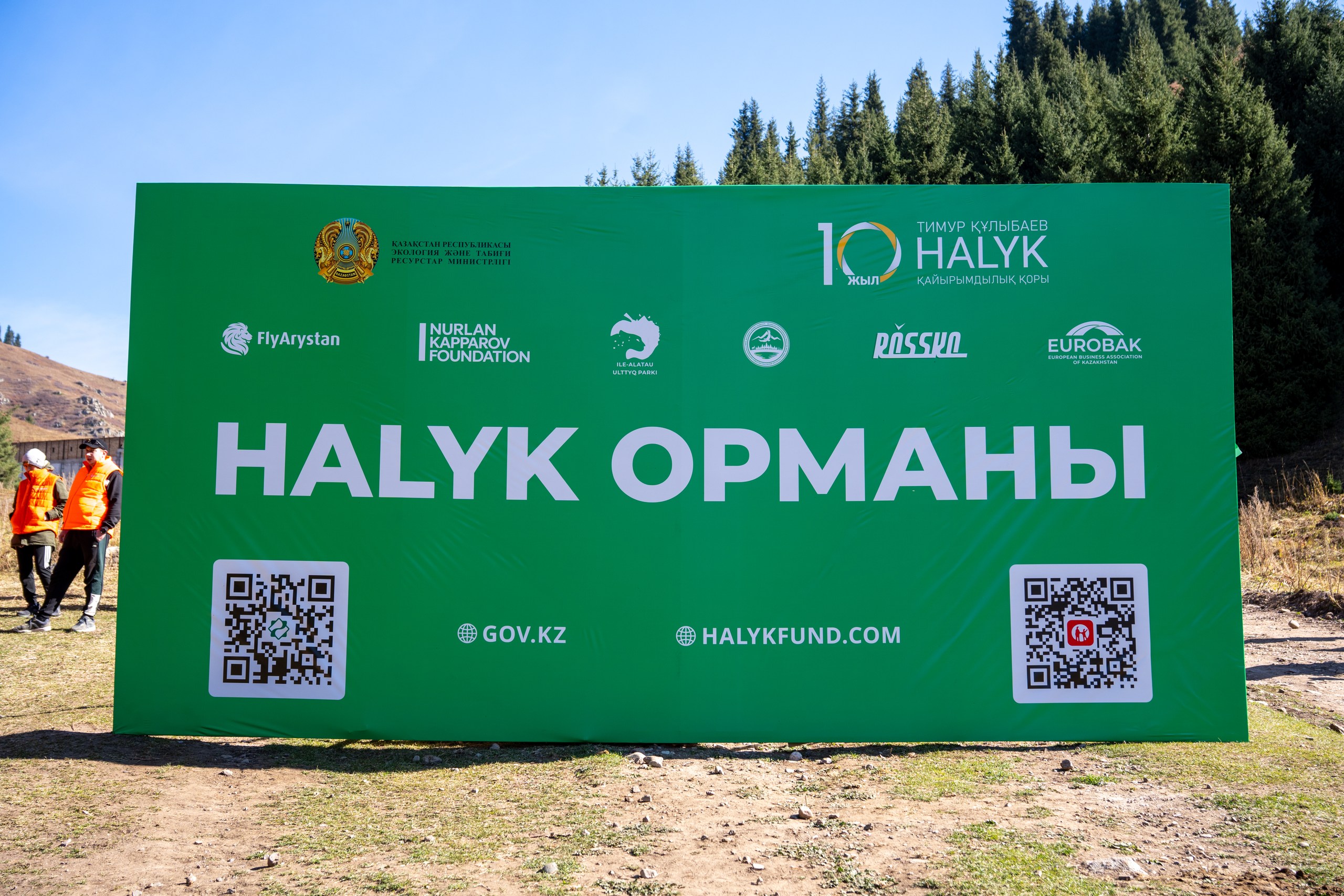 Көкжайлауда 9 мыңға жуық шырша отырғызылды: «Halyk Орманы» жобасының күзгі маусымы басталды